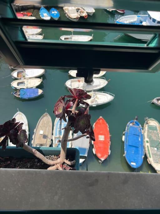 Attico Sul Porticciolo Antico Di Camogli Lejlighed Eksteriør billede
