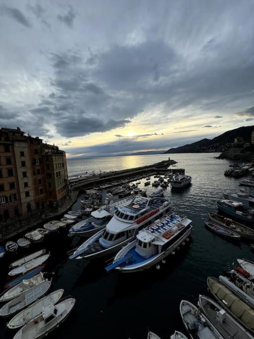 Attico Sul Porticciolo Antico Di Camogli Lejlighed Eksteriør billede