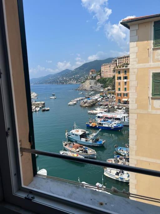 Attico Sul Porticciolo Antico Di Camogli Lejlighed Eksteriør billede